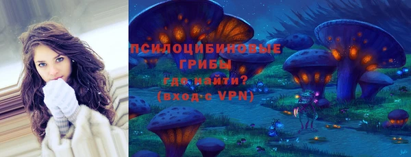 МДМА Козельск
